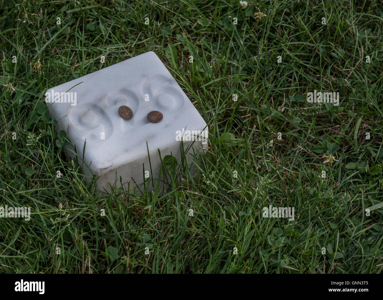 Pennies on Military Grave Marker in grass Stock Photo Alamy