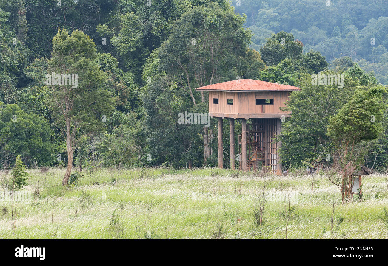 Wooden tower for watching animal in tropical forest of Thailand surrounded by tree and bush. Stock Photo