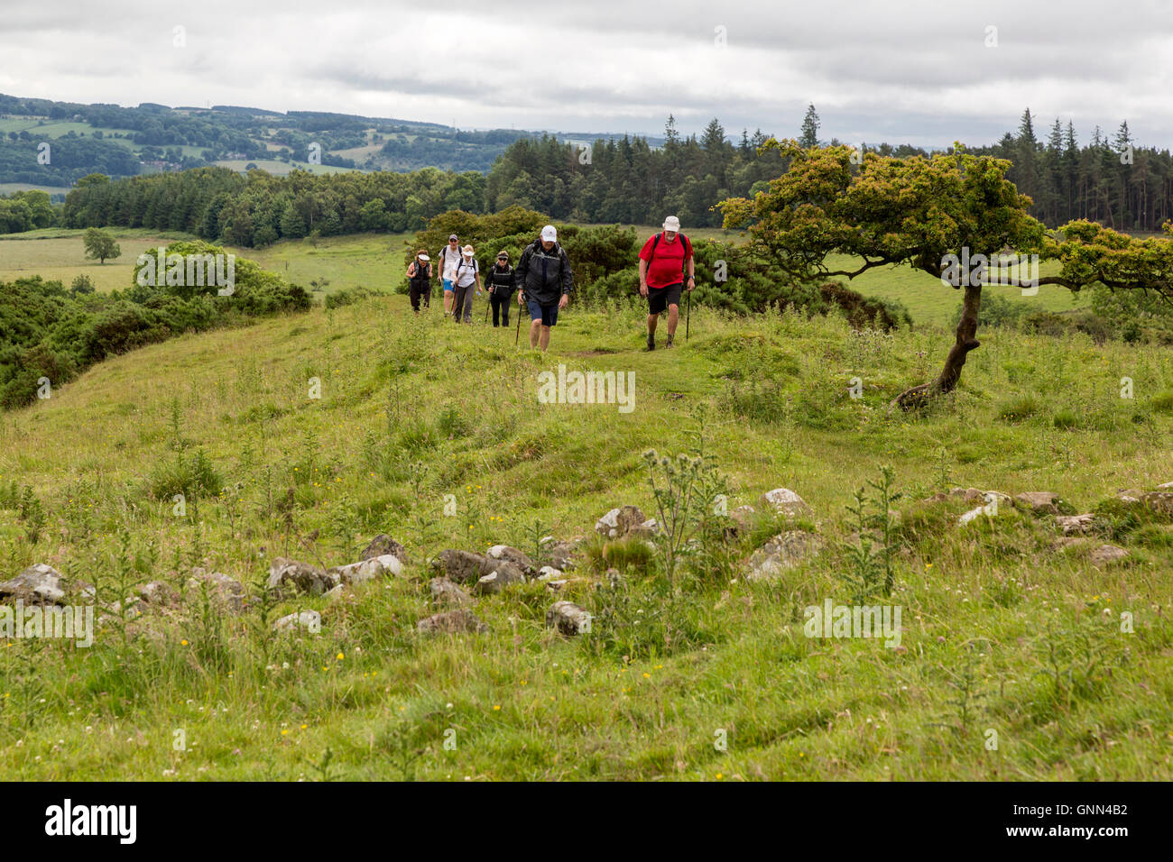 Northumberland, England, UK.  Hikers on Hadrian's Wall Footpath, Approaching Limestone Corner. Stock Photo