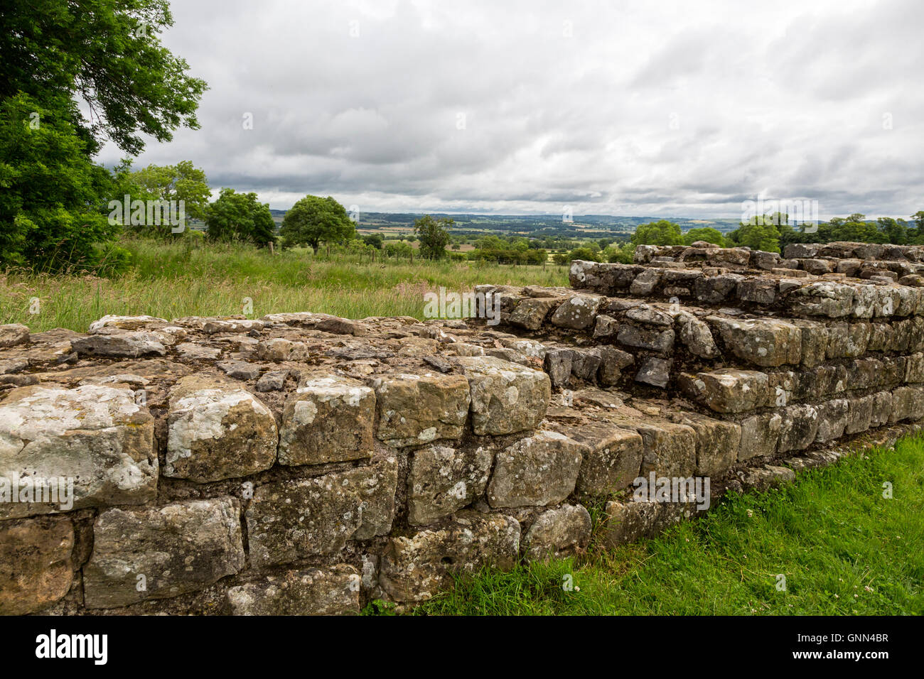 Northumberland, England, UK.  Hadrian's Wall Approaching Black Carts Turret. Stock Photo