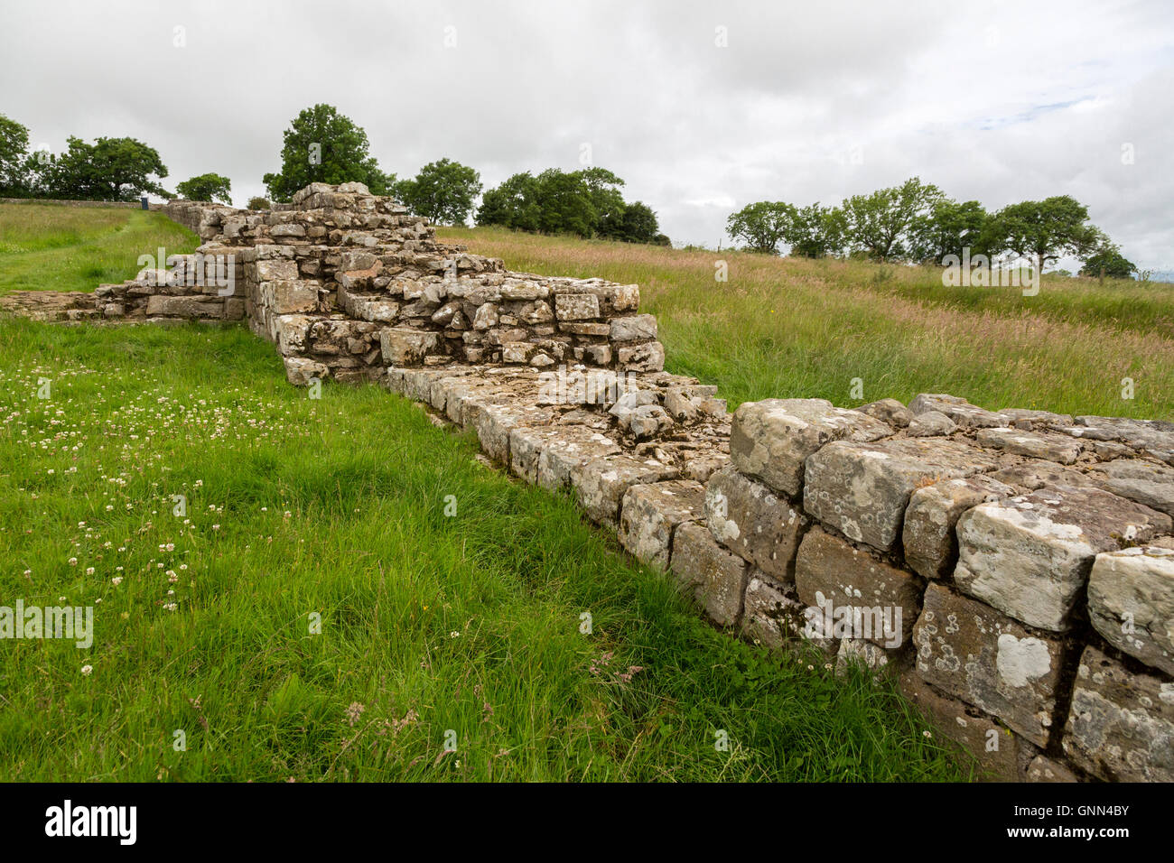 Northumberland, England, UK.  Hadrian's Wall, Black Carts Turret, near Walwick. Stock Photo