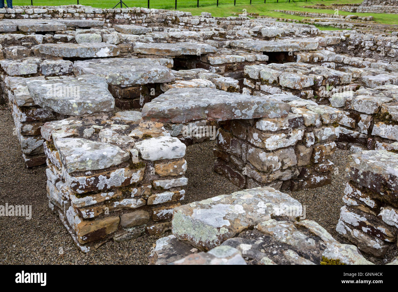 Northumberland, England, UK.  Chesters Roman Fort.  Pillars at Commander's House Allow Warm Air to Flow Underneath Floor. Stock Photo