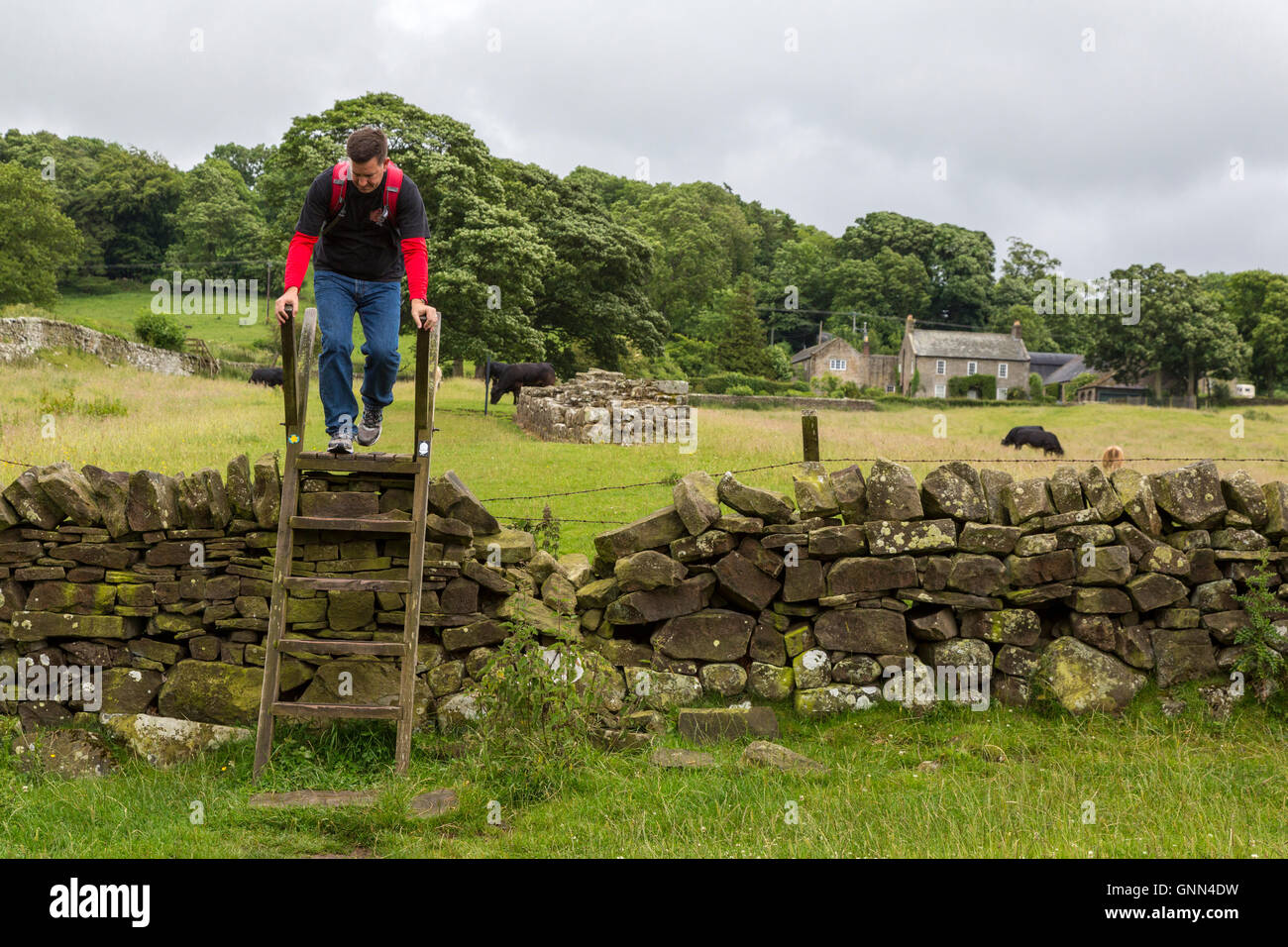 Ladder over fence hires stock photography and images Alamy