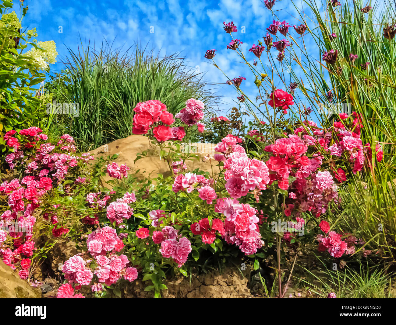Mixed border hi-res stock photography and images - Alamy