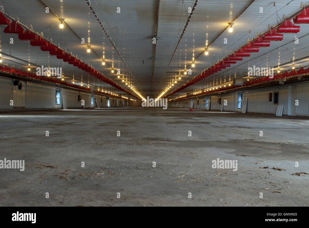 interior view of an empty commercial chicken barn Stock Photo Alamy