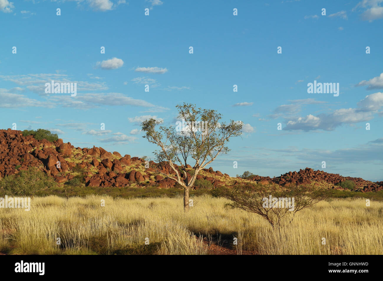 Typical Outback landscape in the Karijini Range / Pilbara - Western Australia - Australia Stock Photo