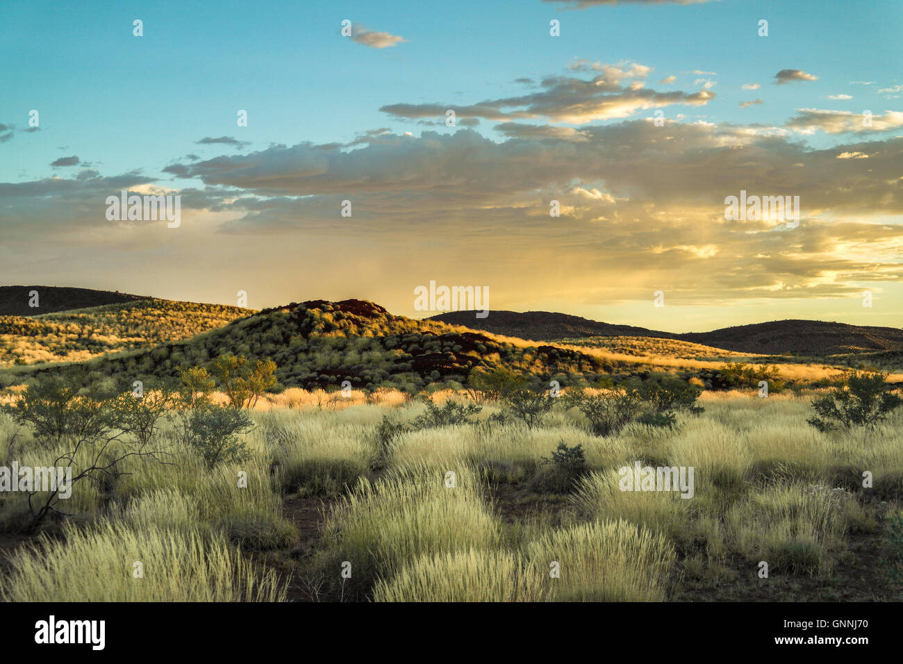 Typical Outback landscape in the Karijini Range / Pilbara - Western Australia - Australia Stock Photo