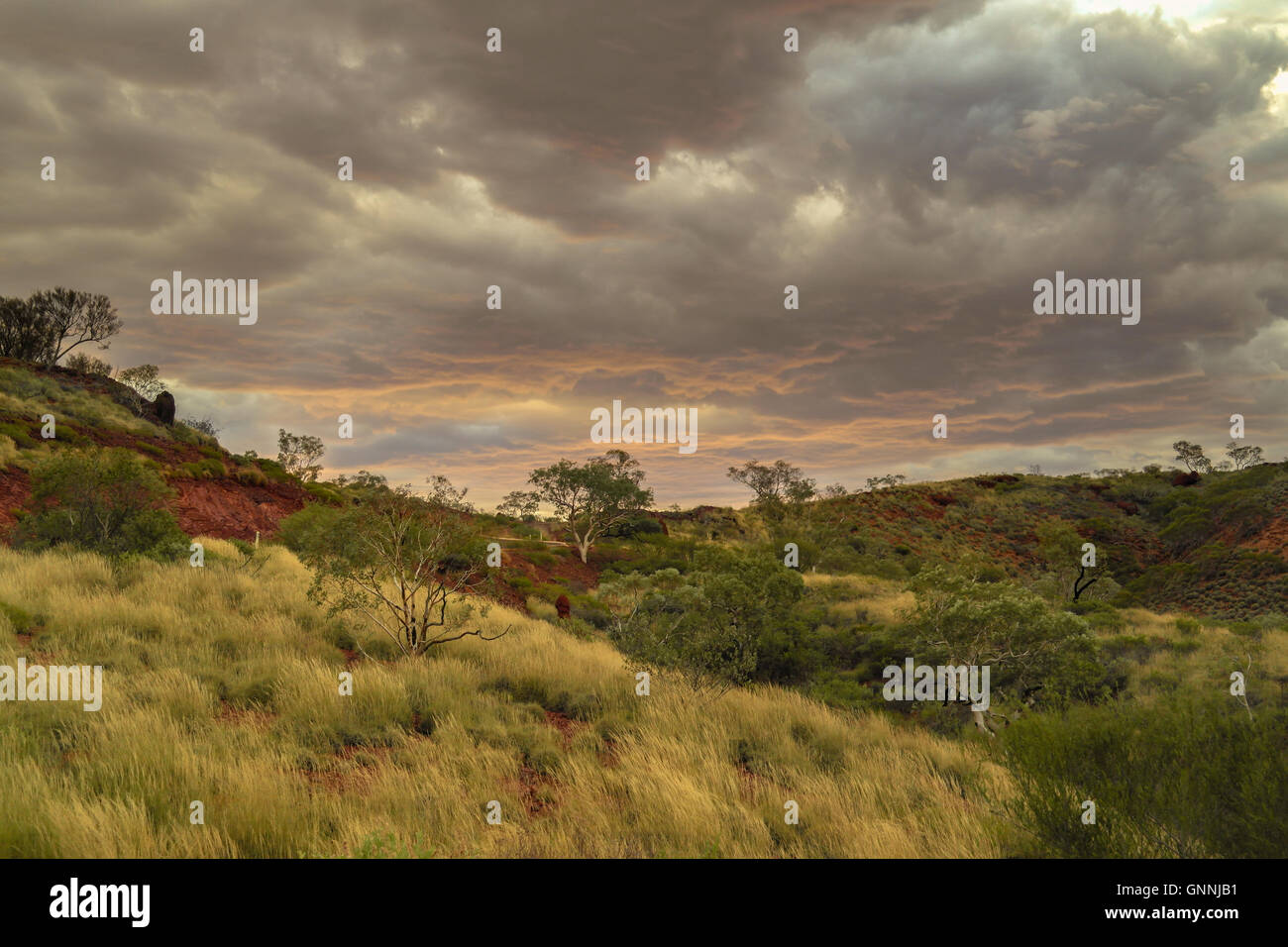 Landscape At Hamersley Range in the Karijini National Park - Western Australia - Australia Stock Photo