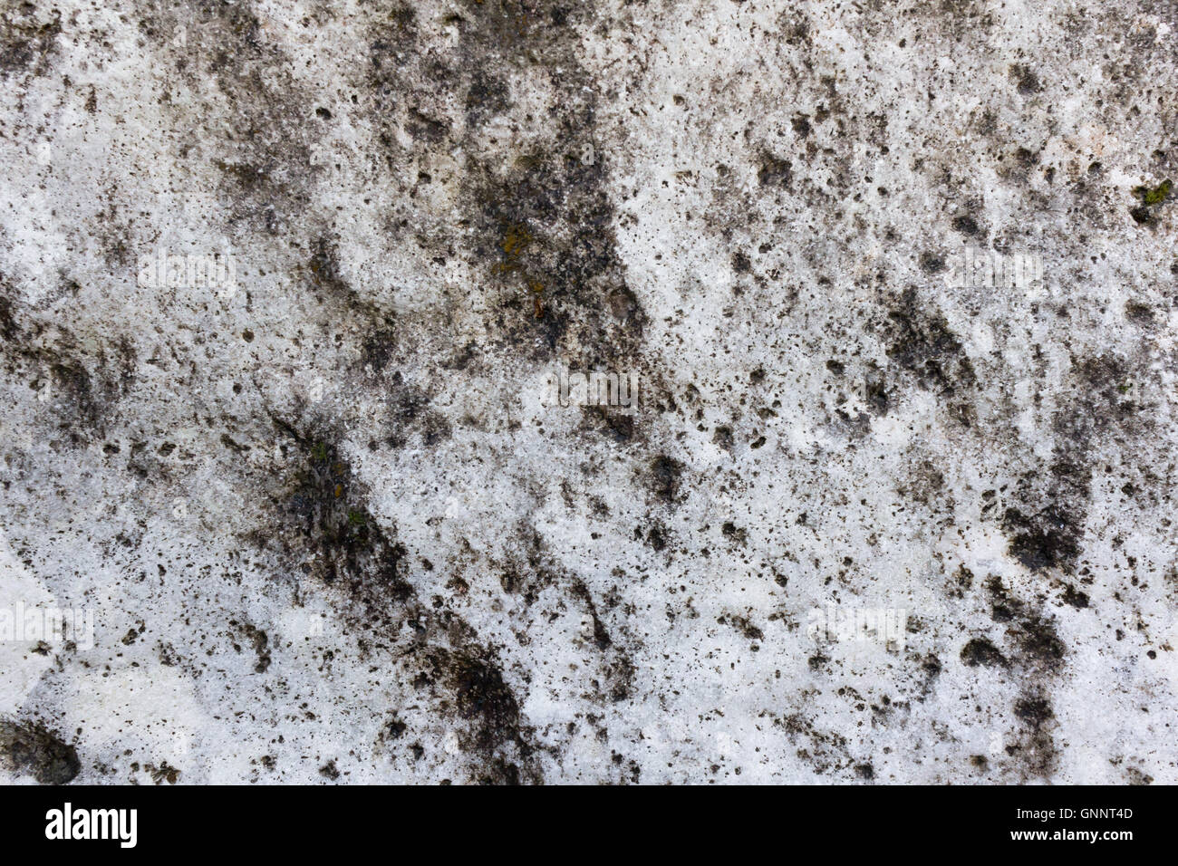 Stone similar to the lunar surface Stock Photo