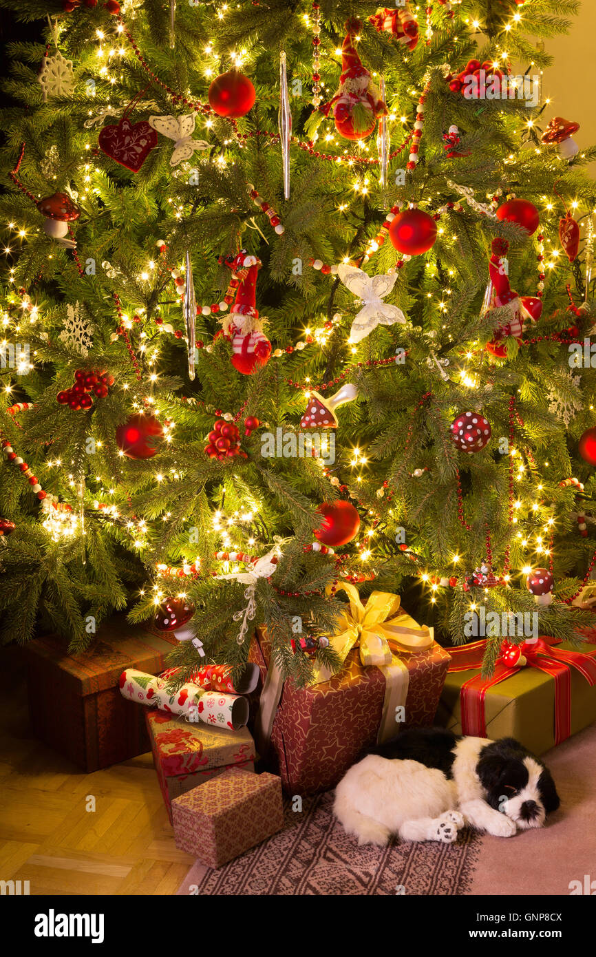 Hide-and-Seek Christmas Tree Puppy