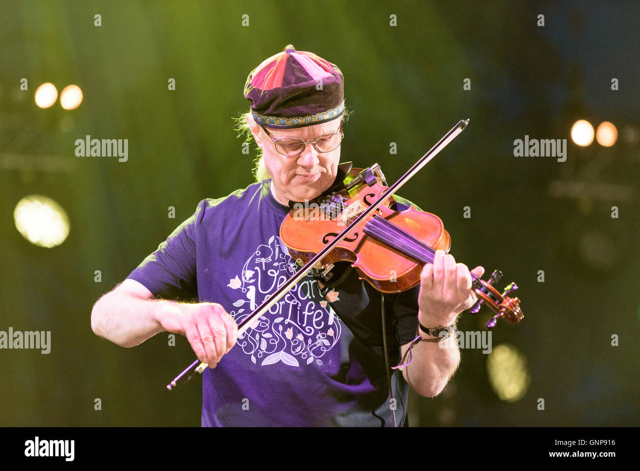 Ric Saunders of Fairport Convention performing at Fairport's Cropredy Convention, Banbury, England, UK. August 11, 2016 Stock Photo