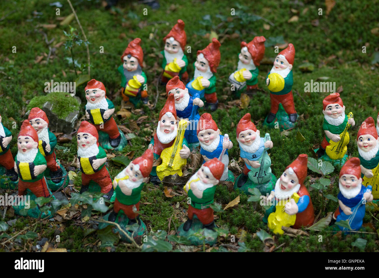 A orchestra of musical garden gnomes Stock Photo