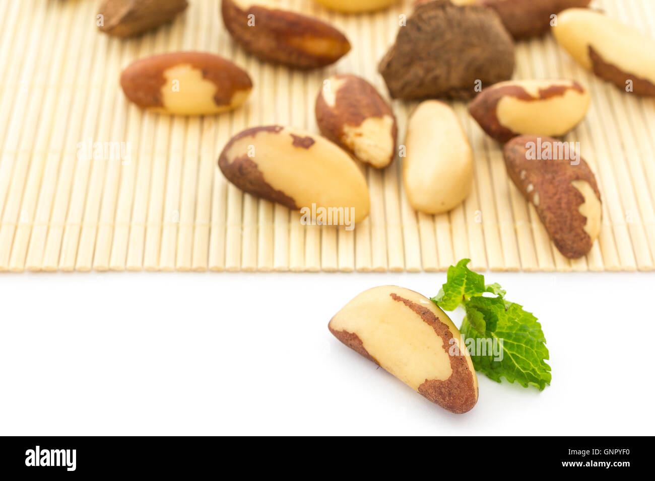 bertholletia excelsa, known as Brazil Nuts. Rich source of selenium and