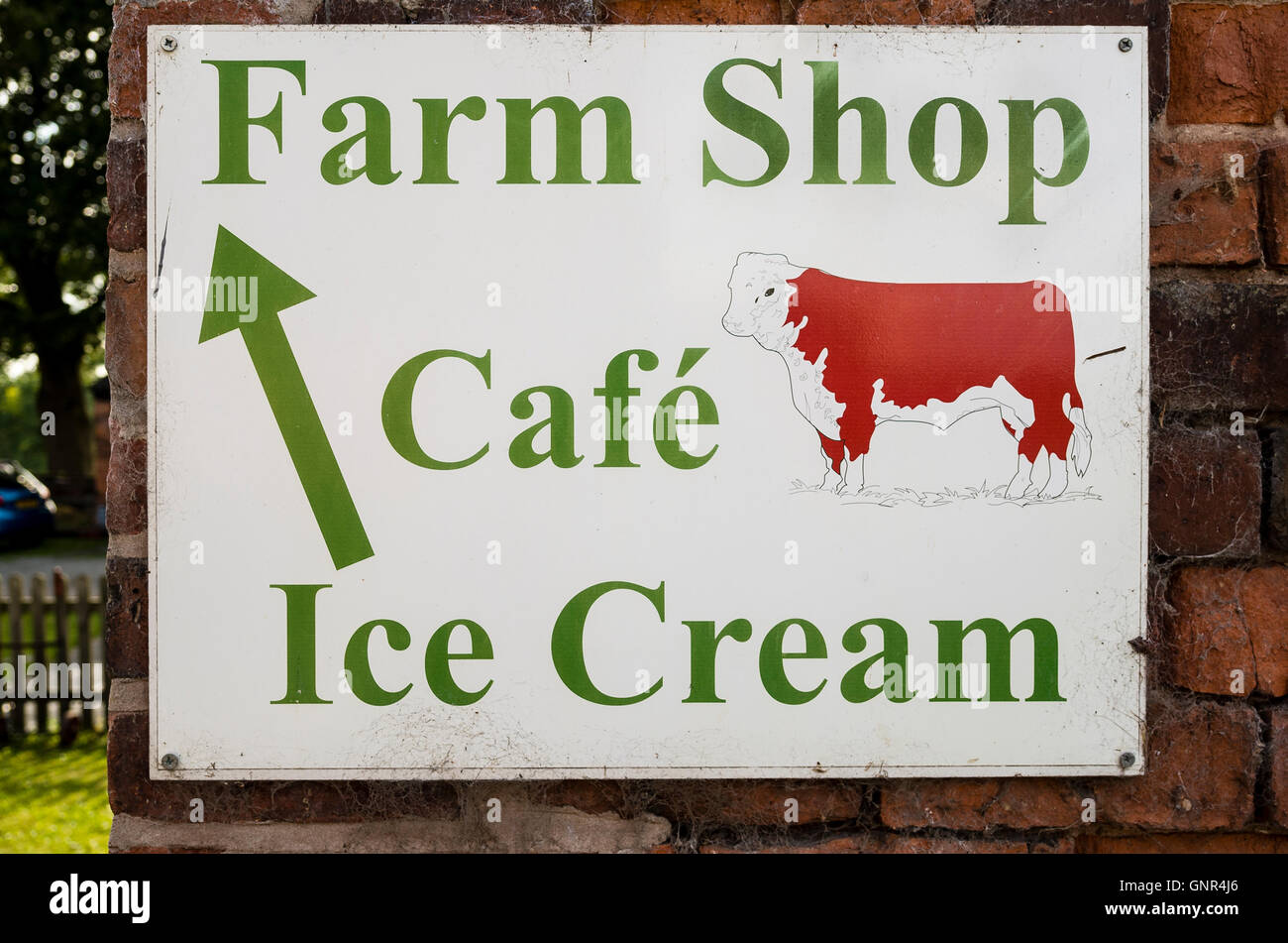 Sign showing direction to Farm Shop for cafe and sales of food and gift items Stock Photo