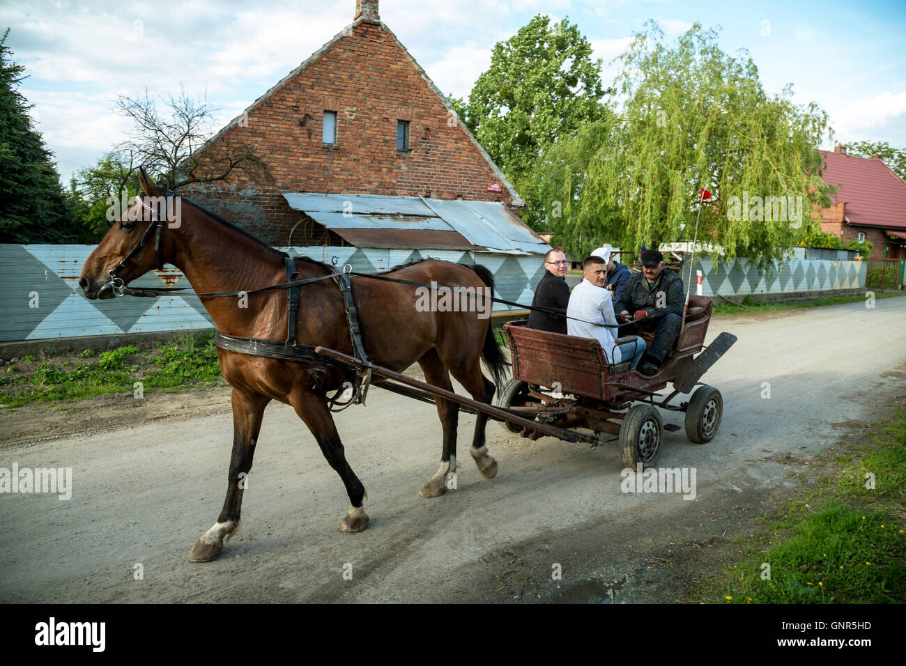 Starczanowo, Poland, locals traveling by horse-drawn carriage Stock Photo