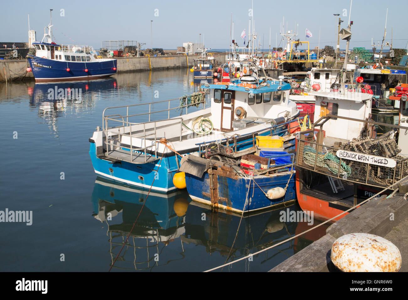 Fishing and Farne Islands tourist trip boats in Seahouses harbour Northumberland England Great Britain Stock Photo