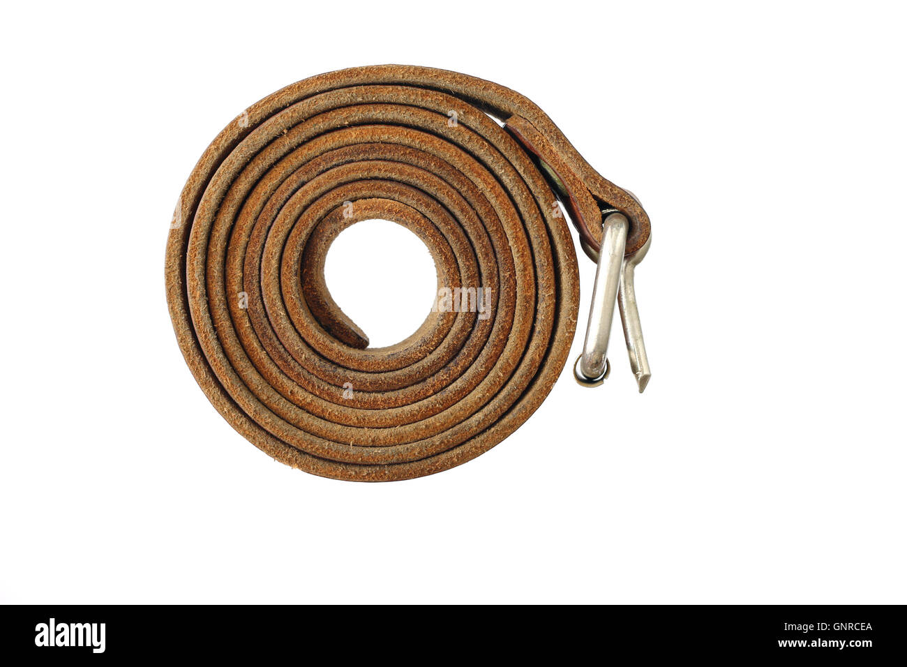 Coiled leather belt on a white background Stock Photo