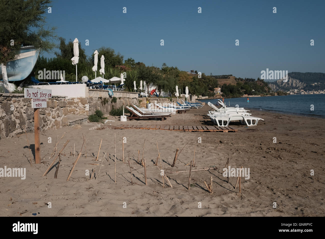 Turtle nest protected on beach in ZAnte Stock Photo