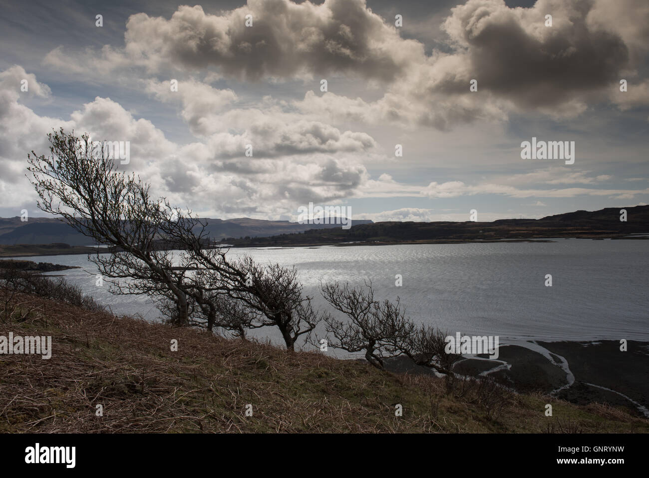 Tobermory, United Kingdom, landscape on the coast of the Isle of Mull in Scotland Stock Photo
