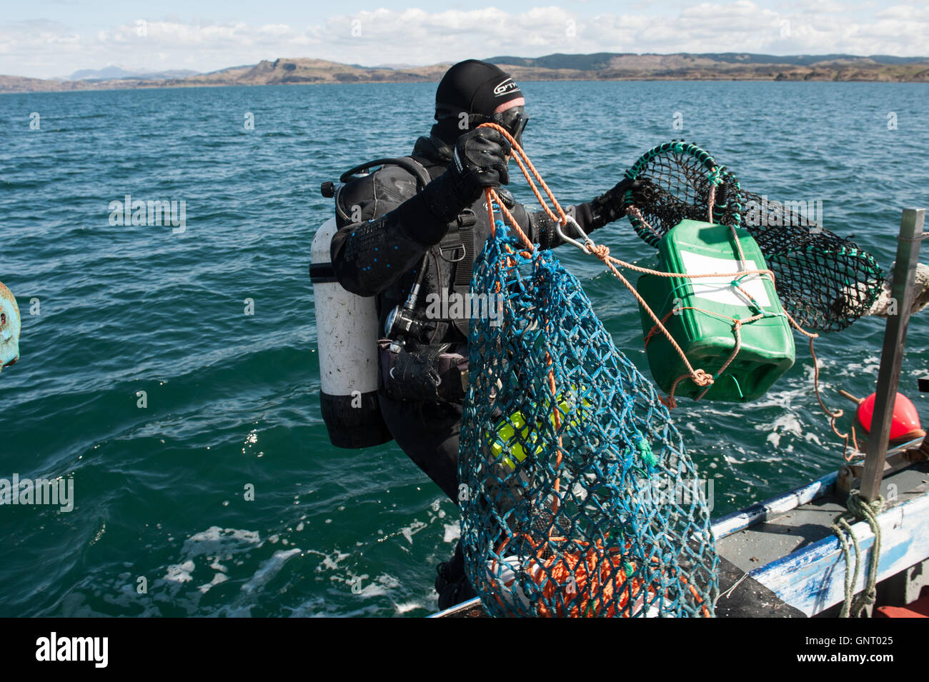 Tobermory, United Kingdom, shellfish divers bring a fishing Stock Photo