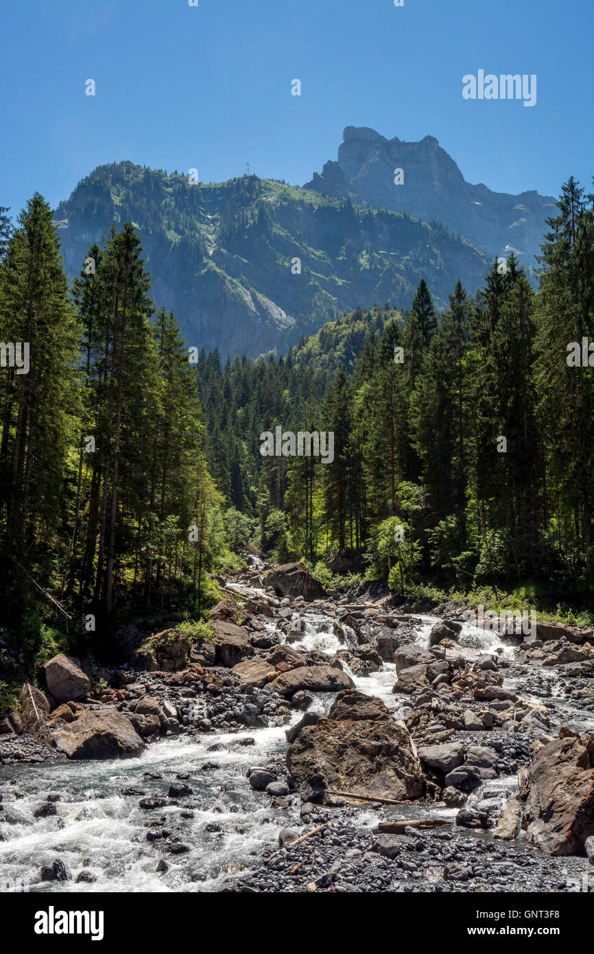 SixtferaCheval near Samoens, Torrent Gers. HauteSavoie. France