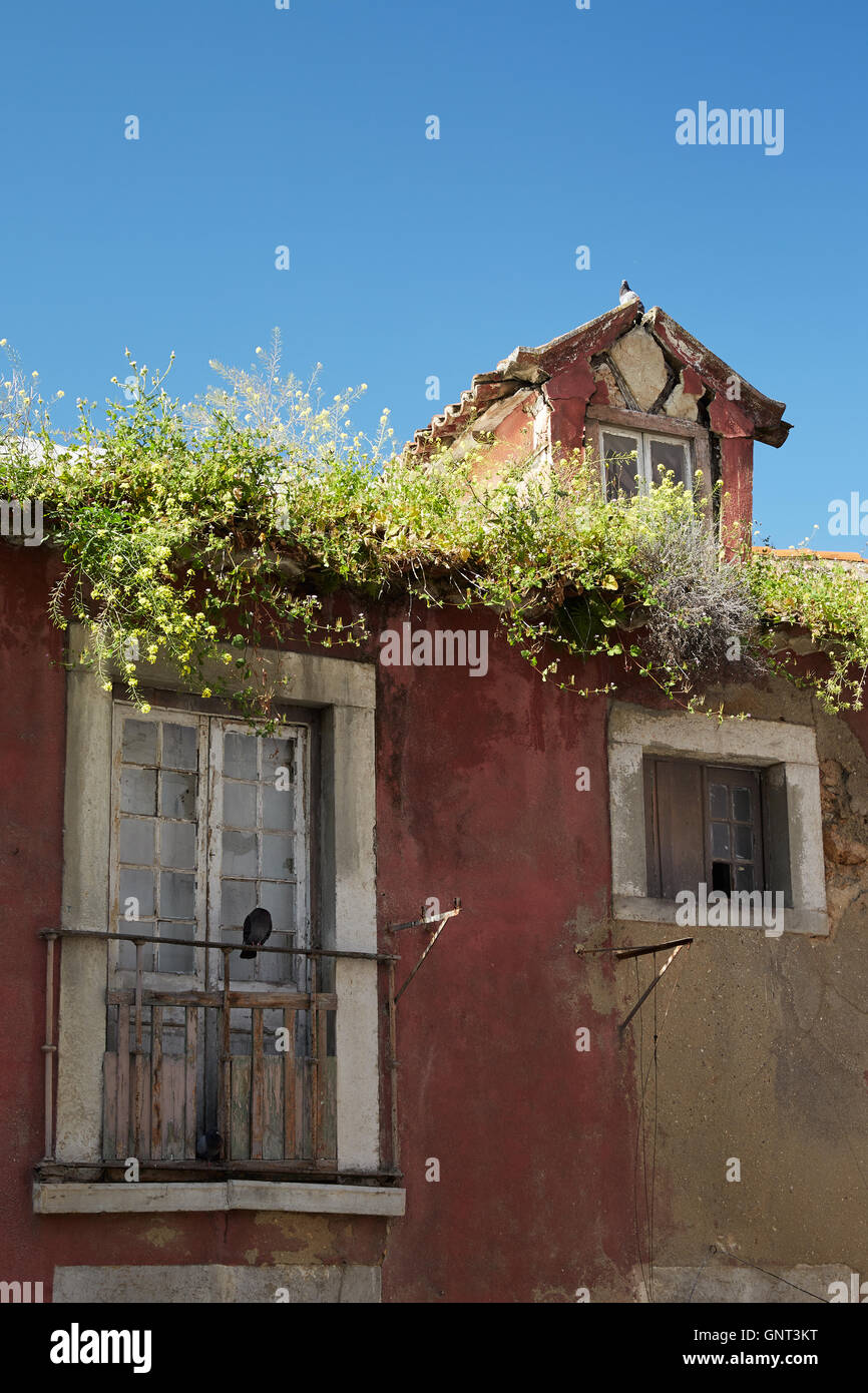 Lisbon, Portugal, dilapidated house in the alley Patio do Salema Stock Photo