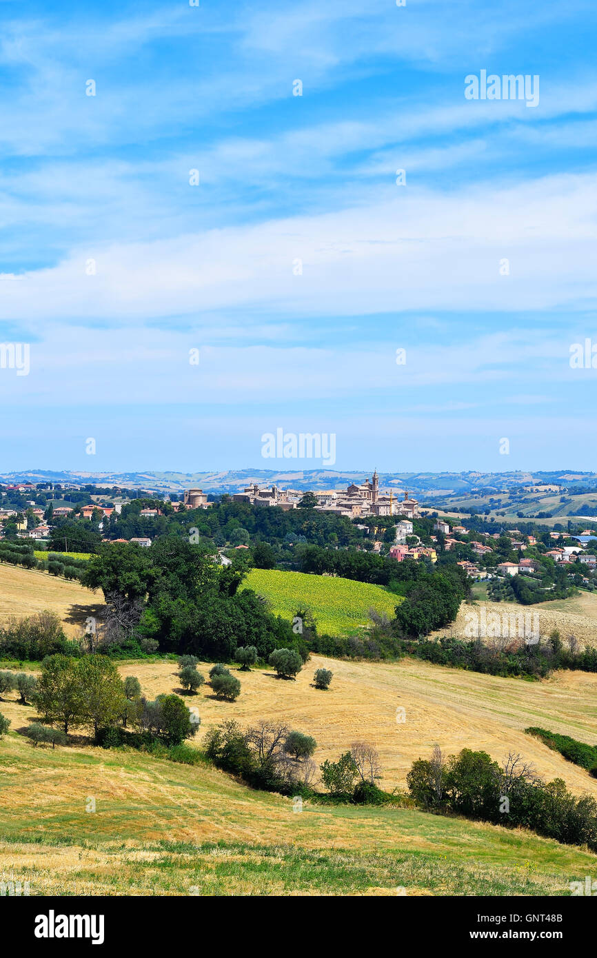 View, overview, panorama, in the background Corinaldo, Province Ancona, Marken, Italy, Europe Stock Photo
