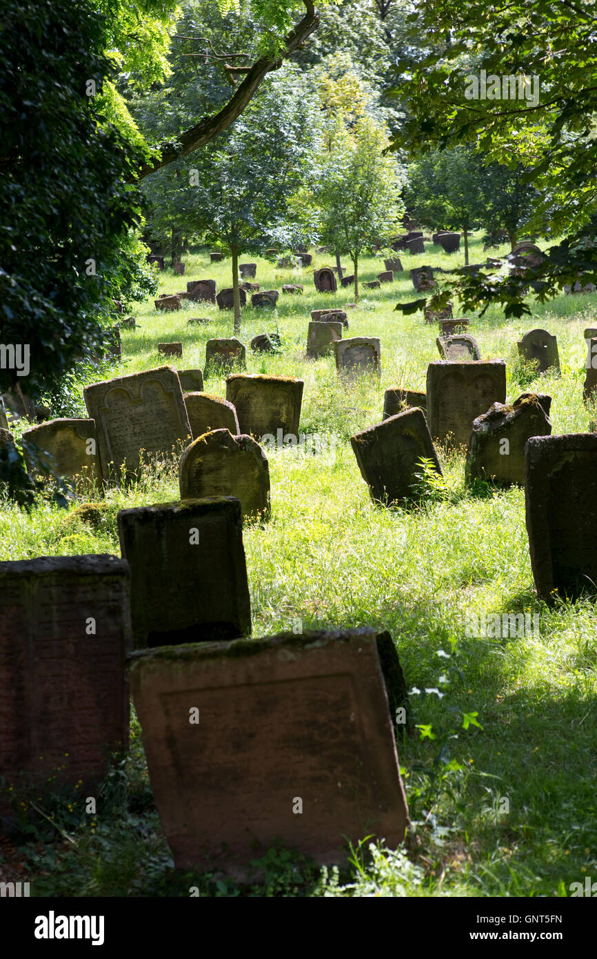 Heiliger Sand (old Jewish cemetery) in Worms, Germany. Stock Photo