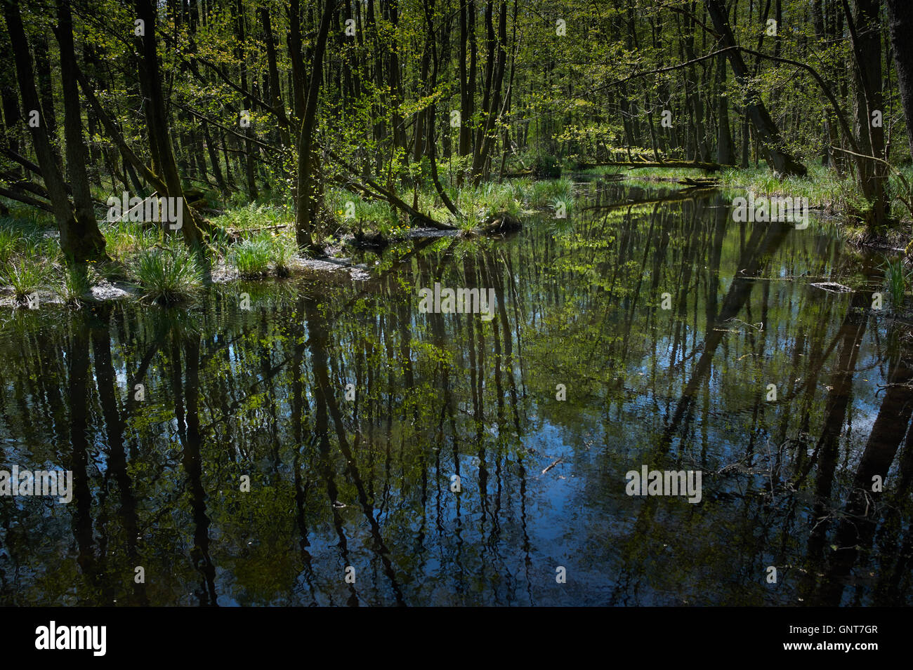 Briese hires stock photography and images Alamy