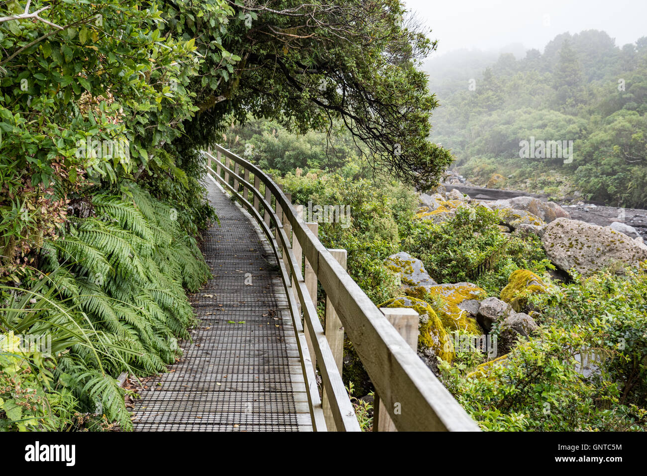 Boardwalk to Wilkies Pools, Egmont National Park, Taranaki, North