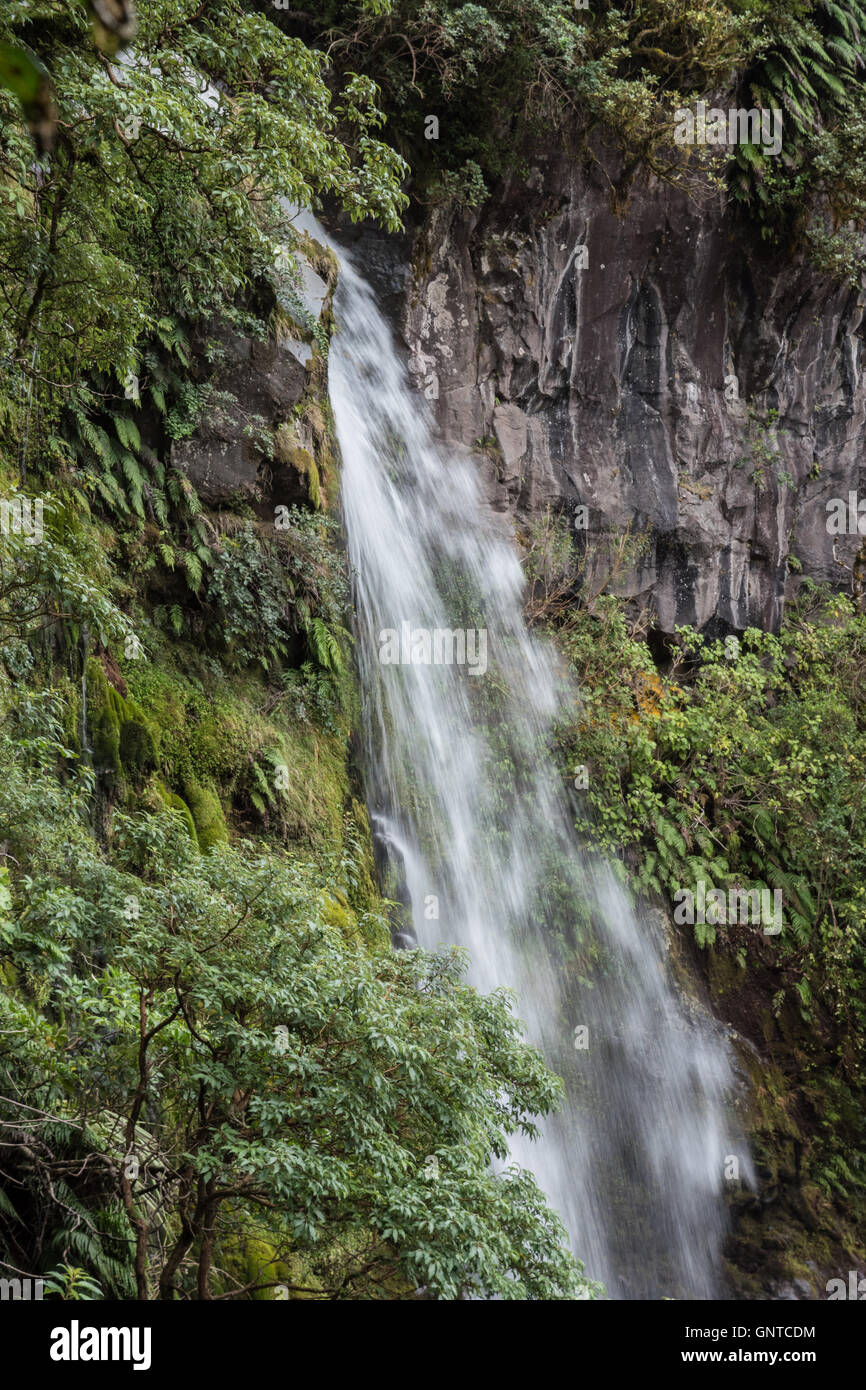 Te rere o noke dawson falls hi-res stock photography and images - Alamy