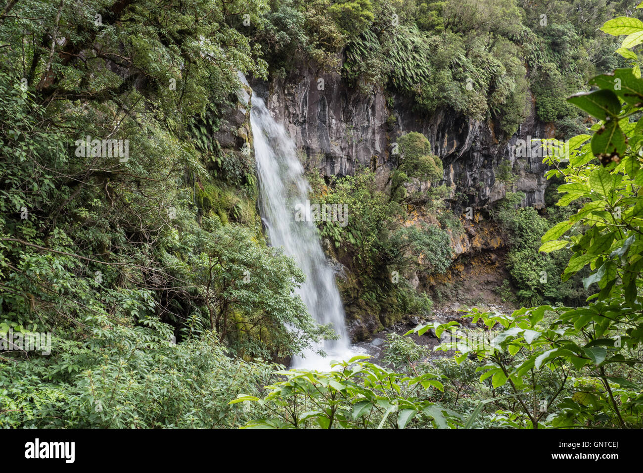 Te rere o noke dawson falls hi-res stock photography and images - Alamy