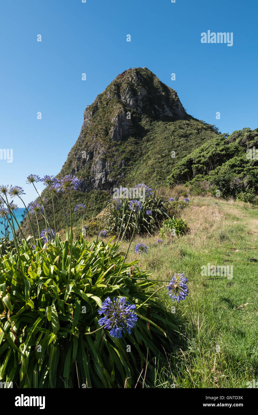 Paritutu Rock, New Plymouth, Taranaki, North Island, New Zealand Stock