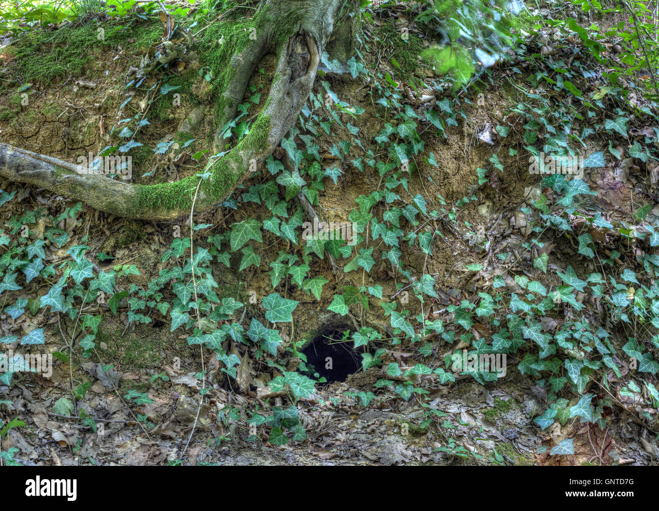 foxhole stockpile