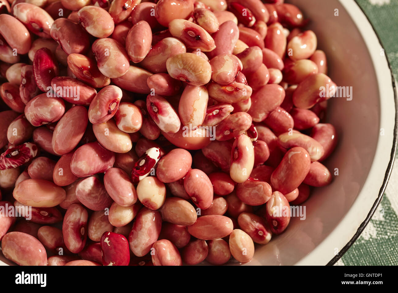 Ansazi Beans, a typical Native American food, soaked and ready for