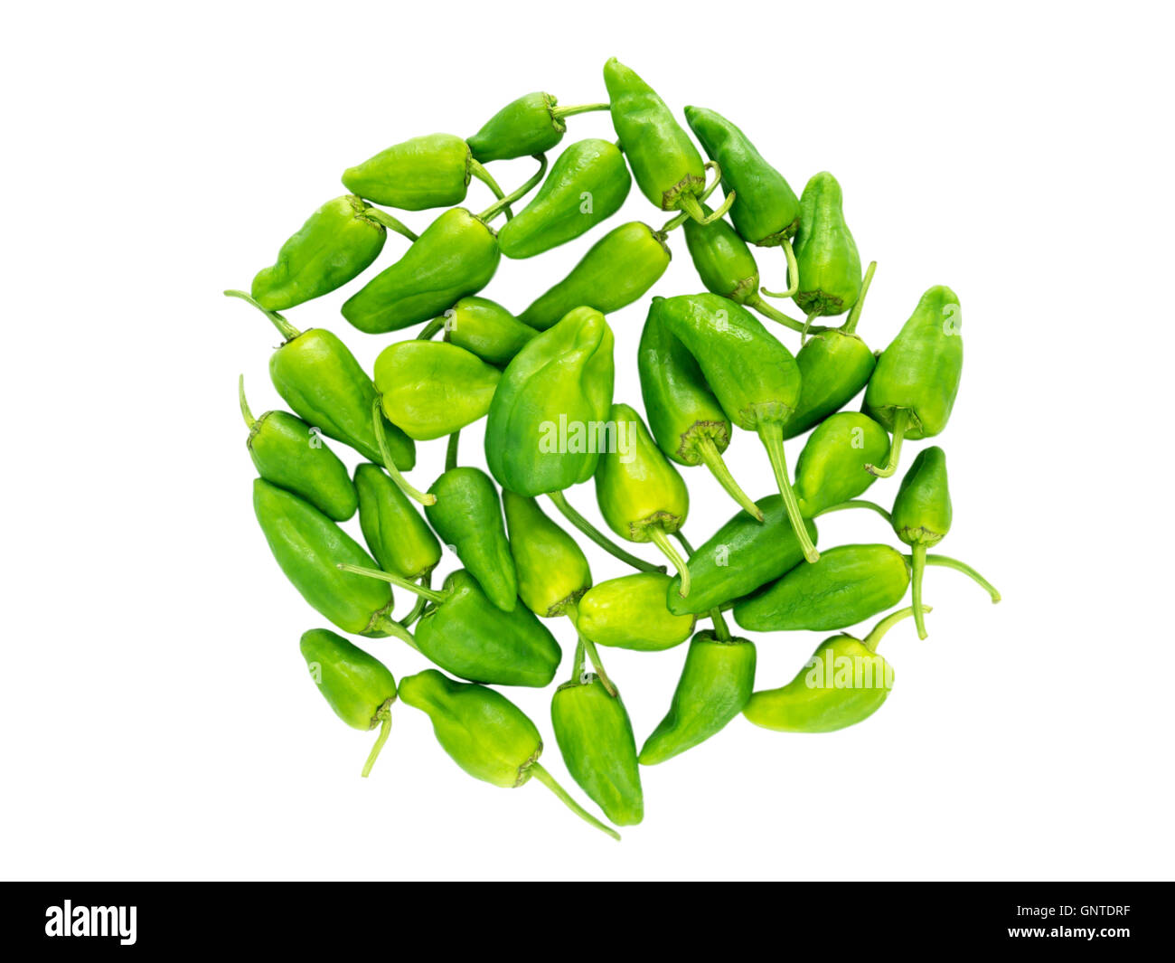 Raw green padron peppers spanish traditional snack isolated on white