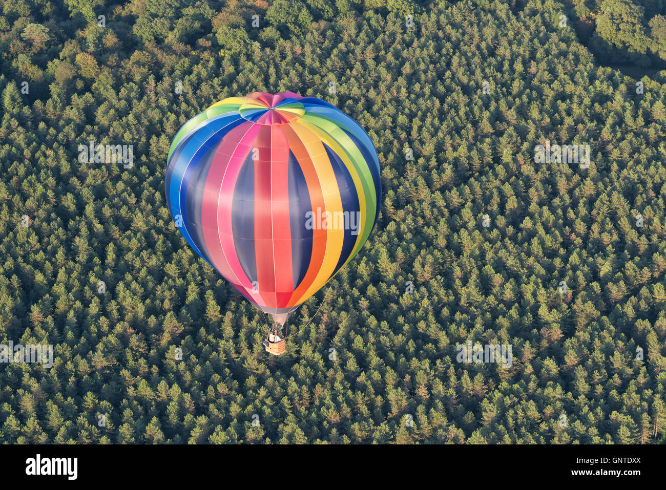 Aerial view of a multicolored hot air balloon flying over a forest ...