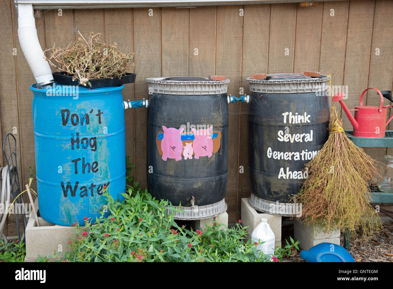 Rain Collection Barrels With Painted Water Conservation Reminders Stock Photo