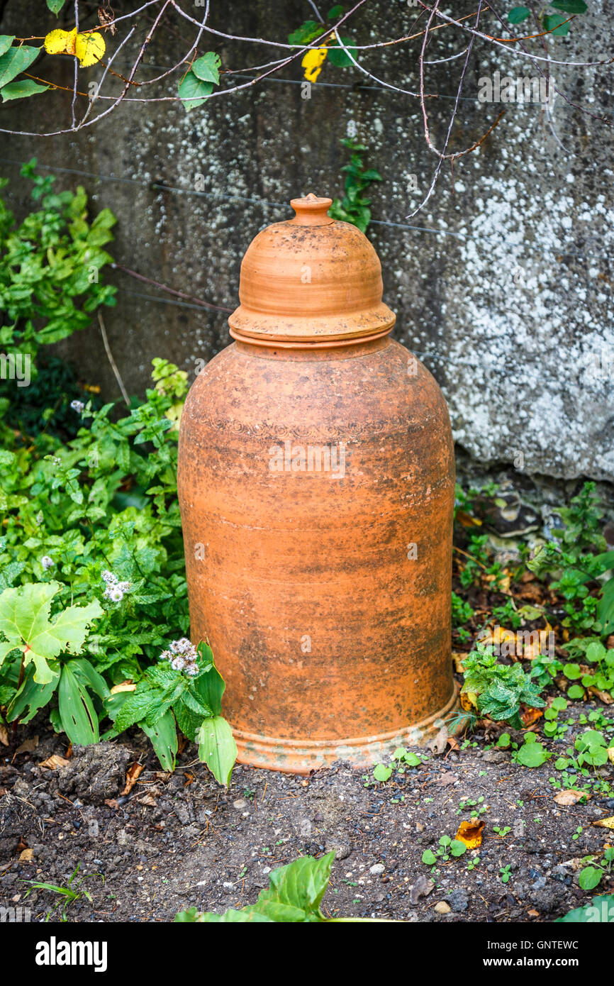 Typical old-fashioned terracotta rhubarb forcing pot in a kitchen garden Stock Photo