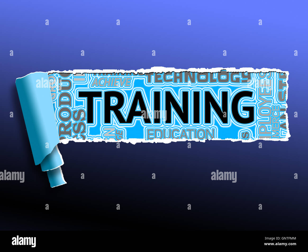 Training Words Indicating inar Lessons And Skills Stock Photo Alamy