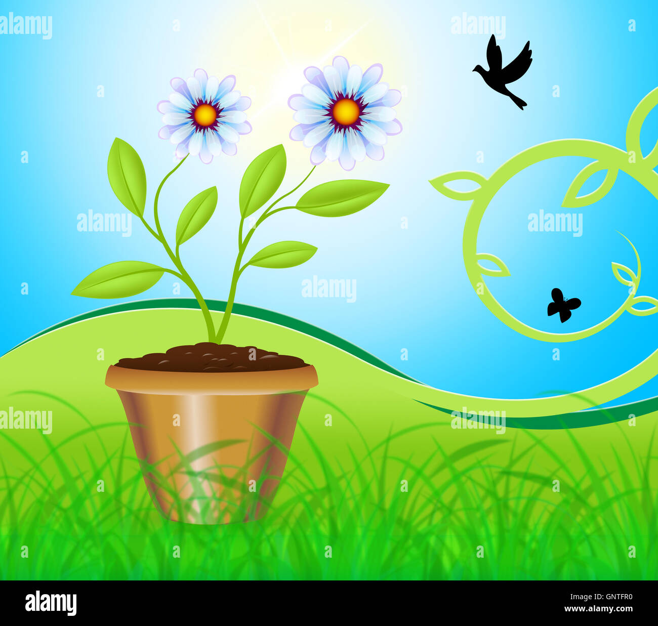Potted Plant Meaning Flower And Gardening 3d Illustration Stock Photo Alamy
