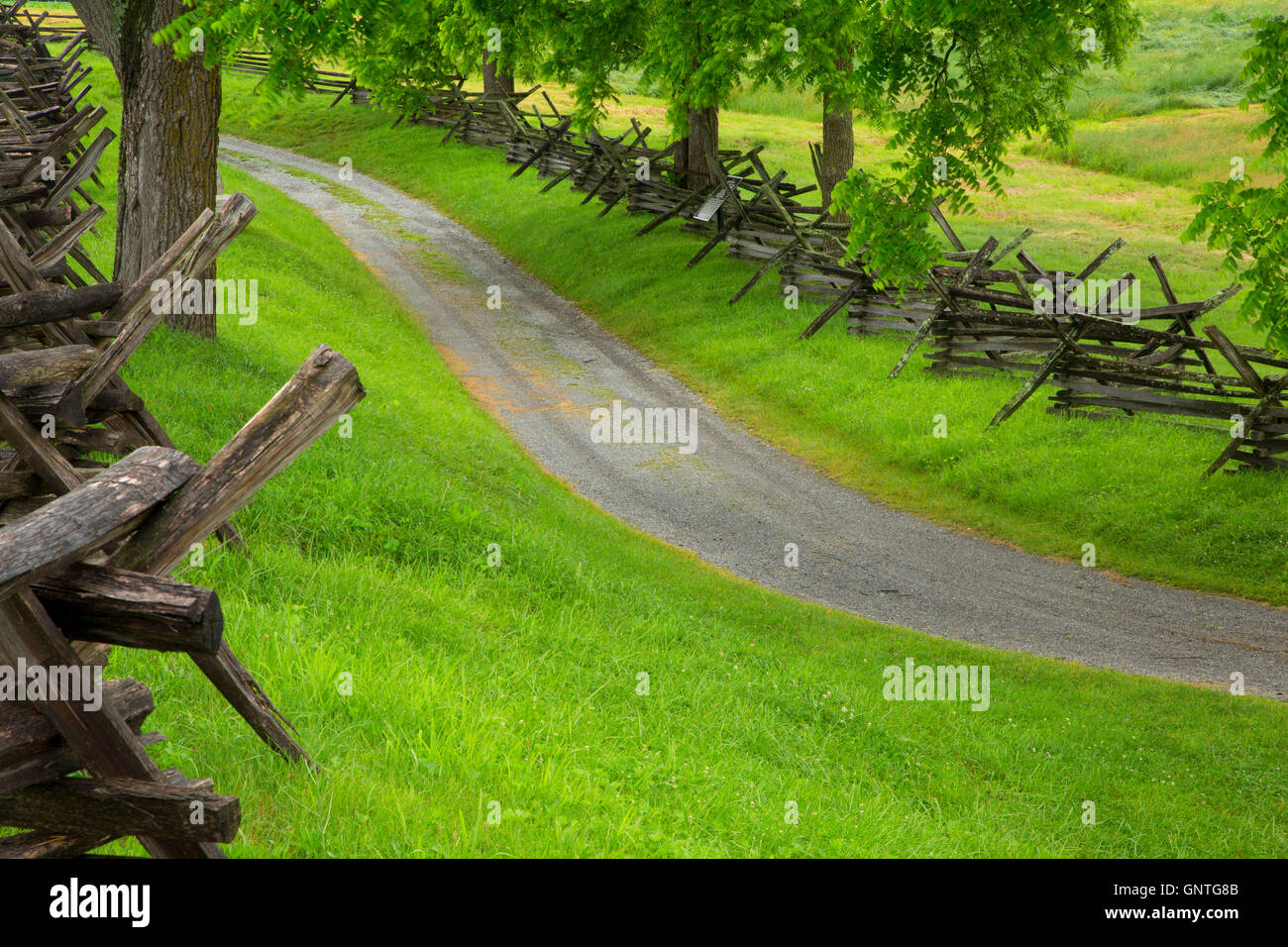 Bloody Lane with fence, Antietam National Battlefield, Maryland Stock Photo