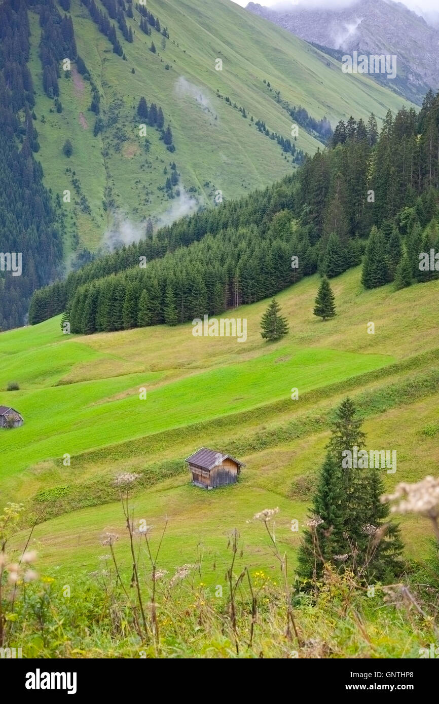 Little hut in green mountains of Austria Stock Photo