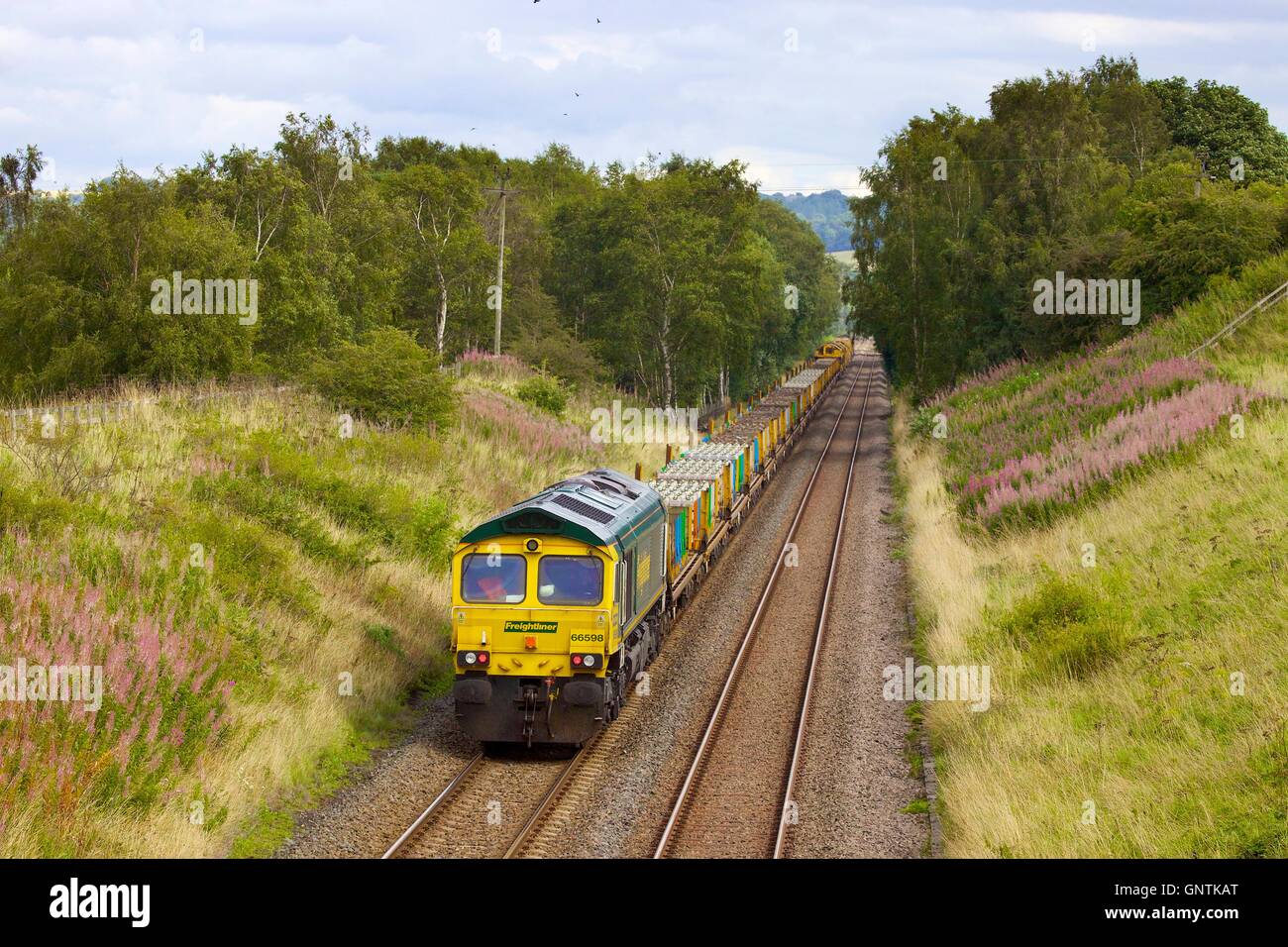 Class 66 Freightliner freight train. Traveling east. Morralee, Bardon Mill, Newcastle & Carlisle Railway, Northumberland, UK. Stock Photo