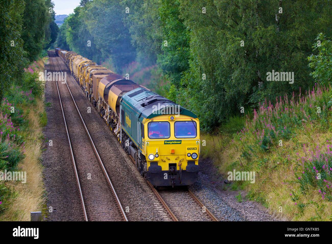 Class 66 Freightliner freight train. Traveling east. Morralee, Bardon Mill, Newcastle & Carlisle Railway, Northumberland, UK. Stock Photo