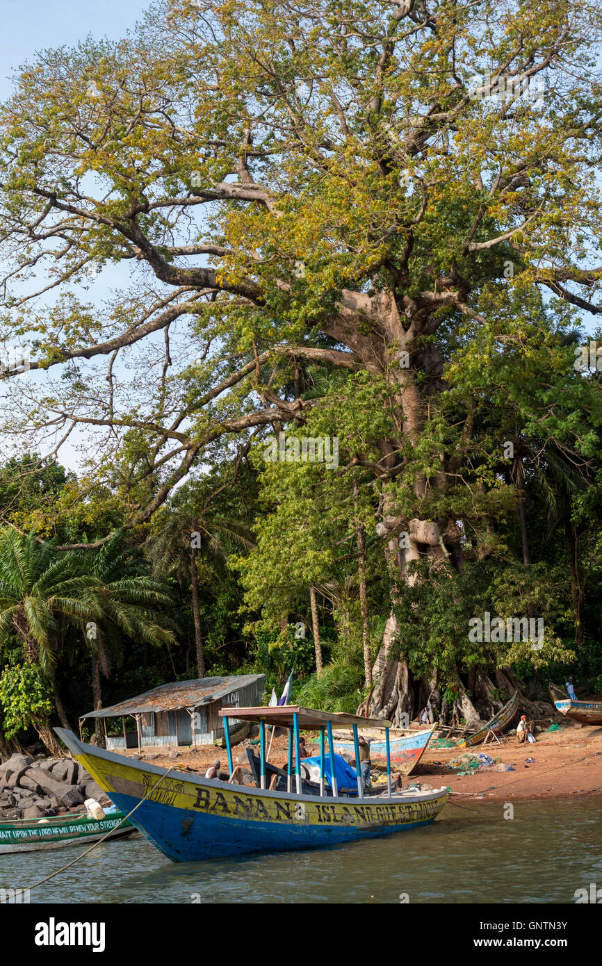 Sierra Leone, Banana Island, Africa Stock Photo Alamy