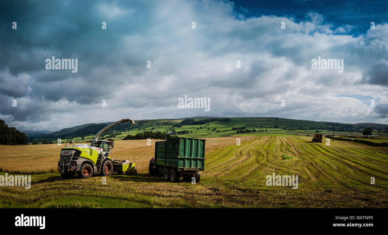 Bringing in the harvest, first day of autumn, Yorkshire Dales, UK. Stock Photo