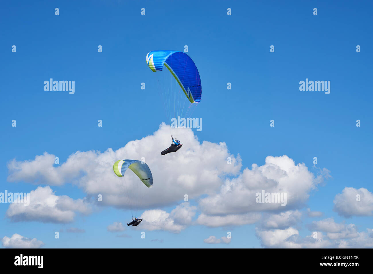 Paragliding on the Berkshire downs, England. Stock Photo