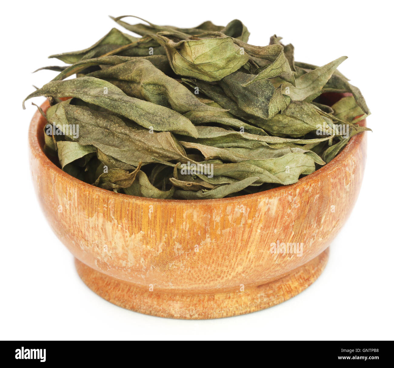 Ayurvedic medicinal Chirata leaves over white Stock Photo