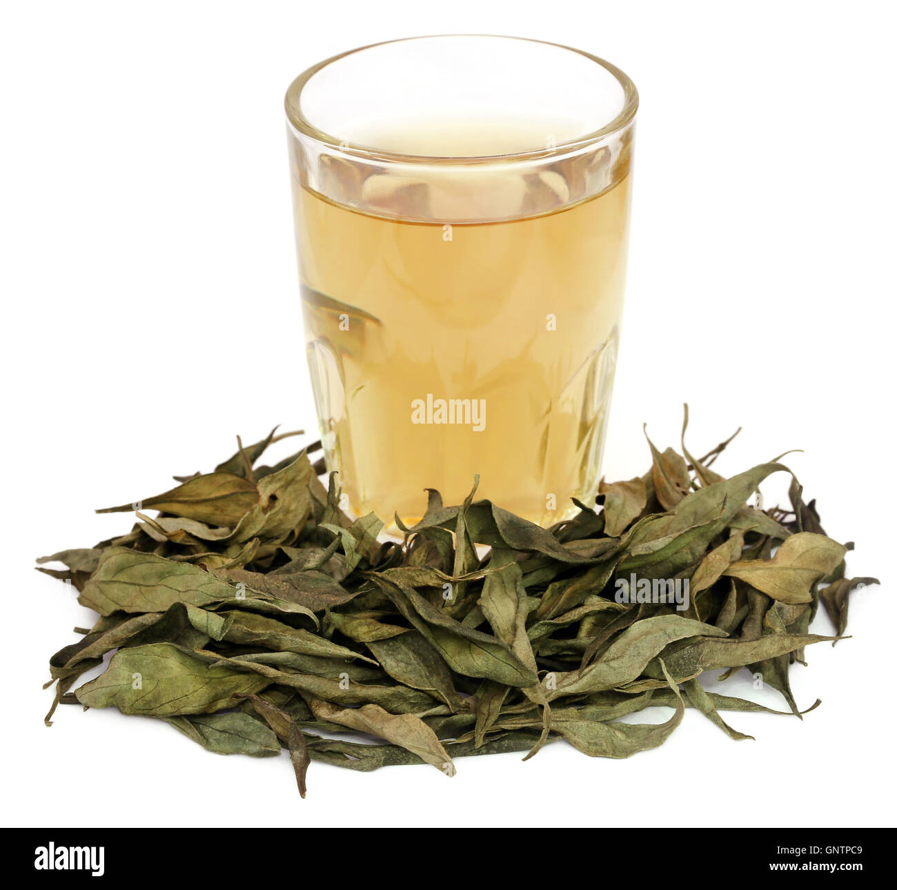 Ayurvedic medicinal Chirata with herbal juice in a glass Stock Photo